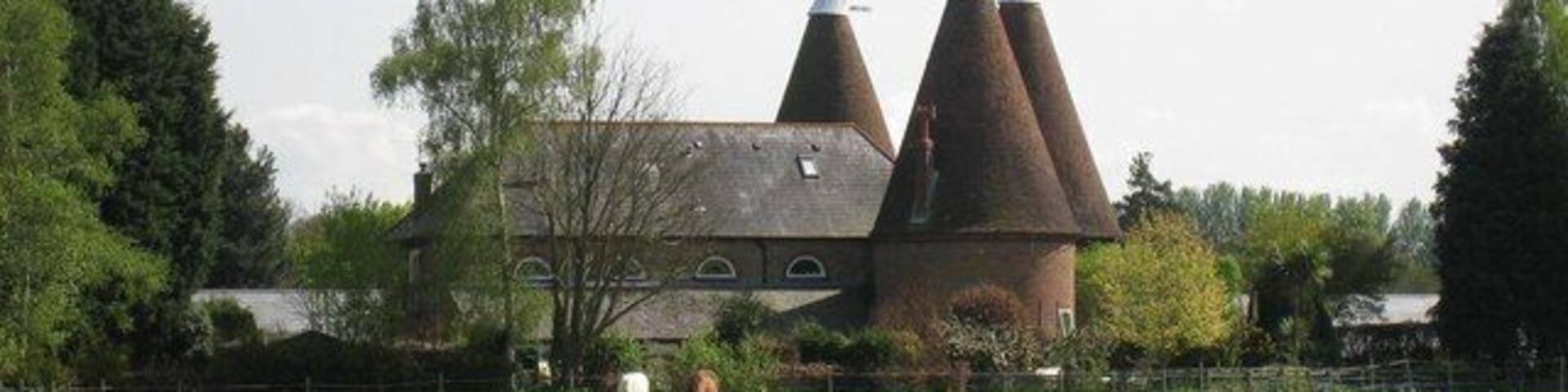 A building with conical roofs and a fenced field with a horse.
