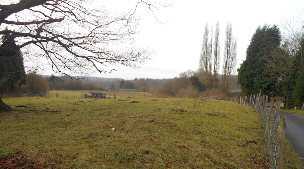 Addington Long Barrow, one of the Medway Megaliths, in the village of Addington, Kent. The barrow is cut in half by a modern road. This photo is of the portion to the south of the road; most of the sarstens are on the other side of the road, but the ridge of the barrow mound and the odd sarsten are visible to the south.