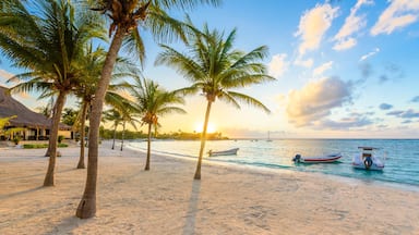 Une plage bordée de palmiers et de bateaux.