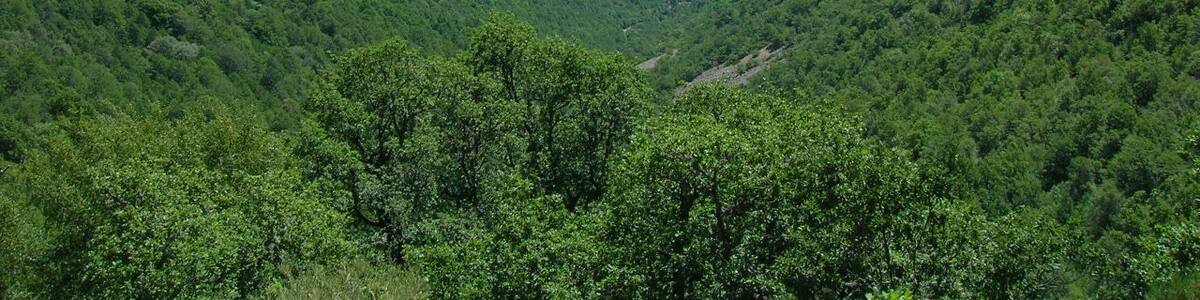 Los Ancares leoneses nos regalan panorámicas como esta. Vuela hasta esta localización. Necesitas el programa Google Earth.