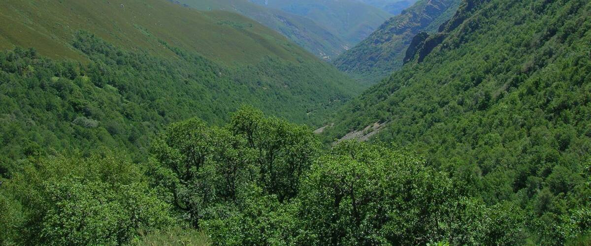 Los Ancares leoneses nos regalan panorámicas como esta. Vuela hasta esta localización. Necesitas el programa Google Earth.