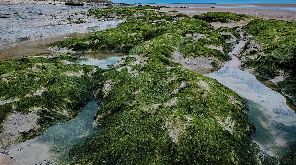 Cap Gris Nez is a nice place for photography!