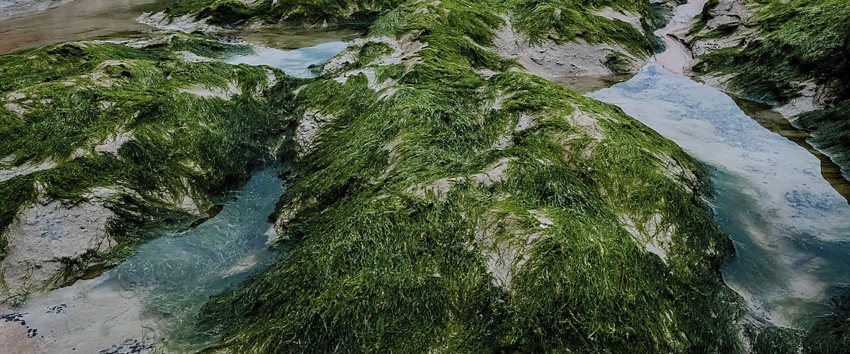 Cap Gris Nez is a nice place for photography!