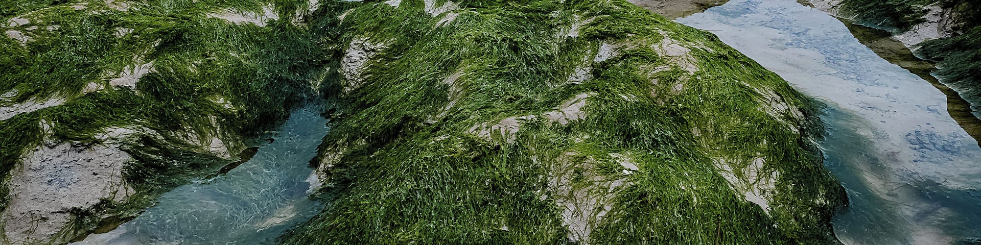 Cap Gris Nez is a nice place for photography!