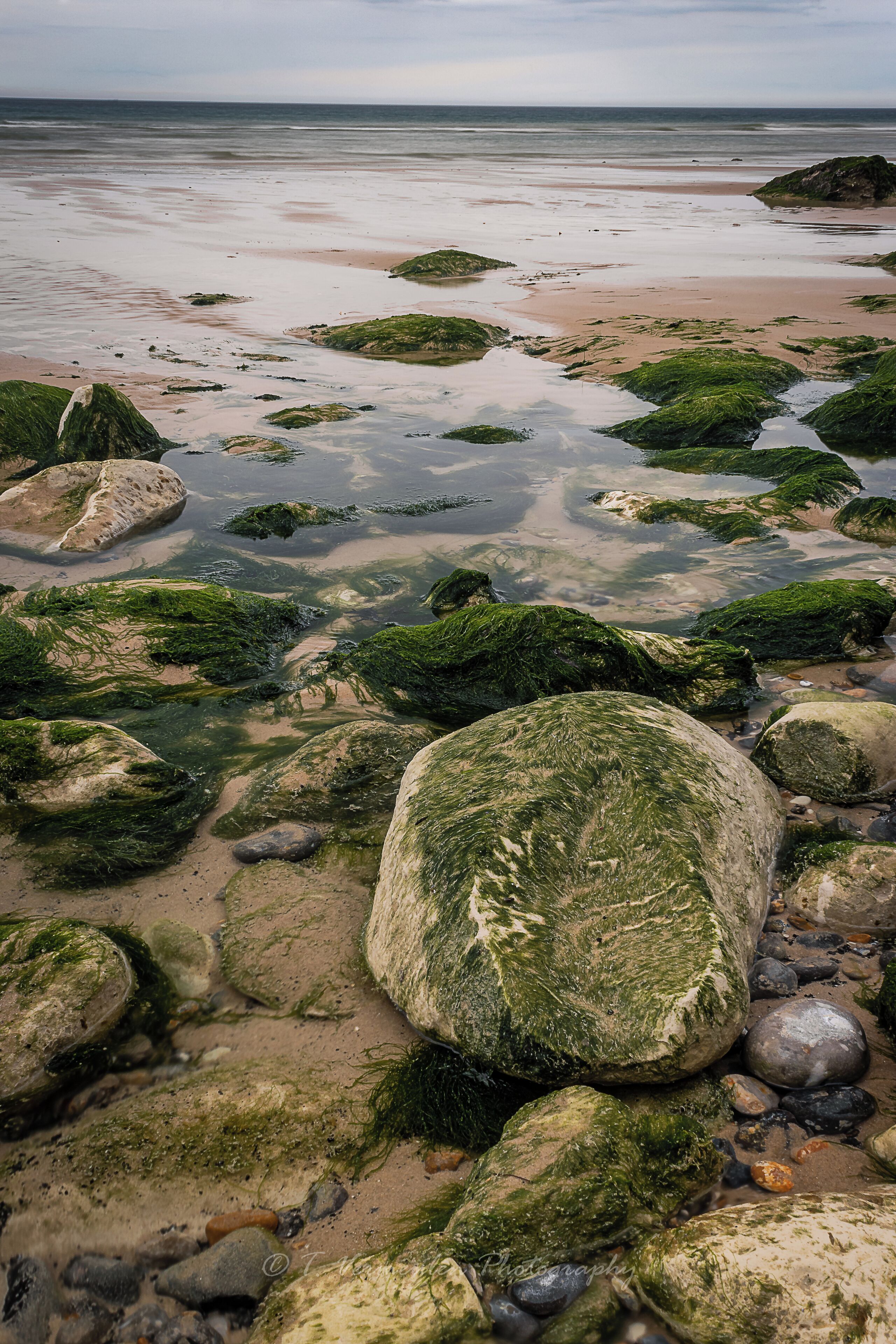 Just another seascape from my visit to Cap Gris Nez and Cap Blanc Nez
