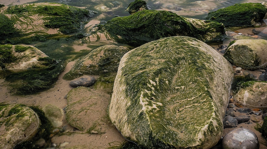 Just another seascape from my visit to Cap Gris Nez and Cap Blanc Nez