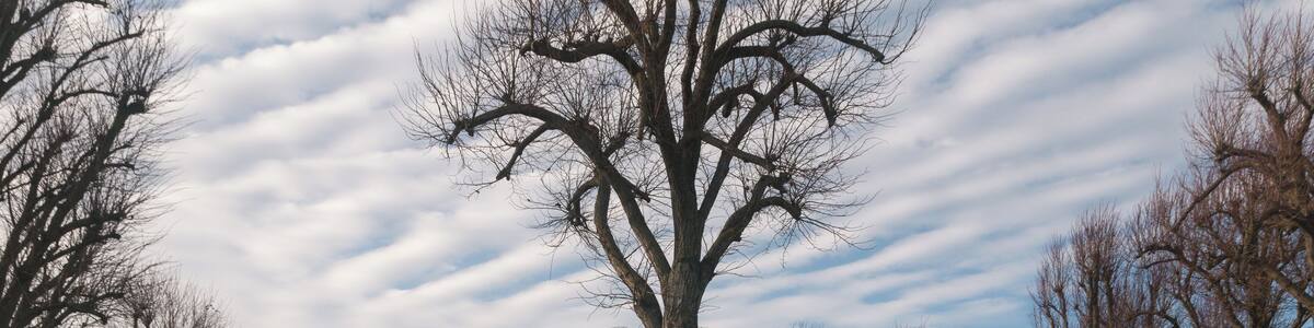 La Targette Czechoslovakian cemetery.