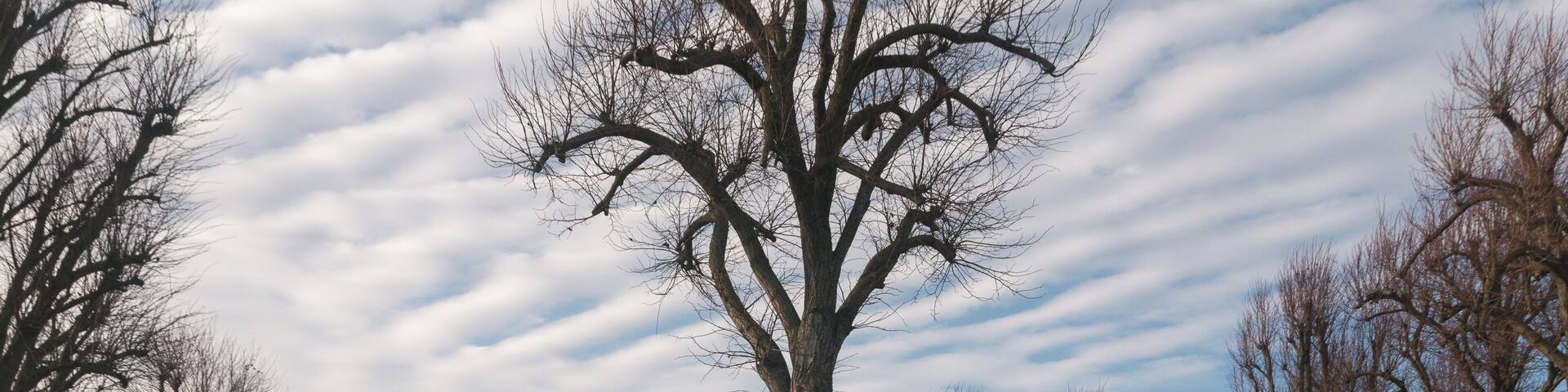 La Targette Czechoslovakian cemetery.