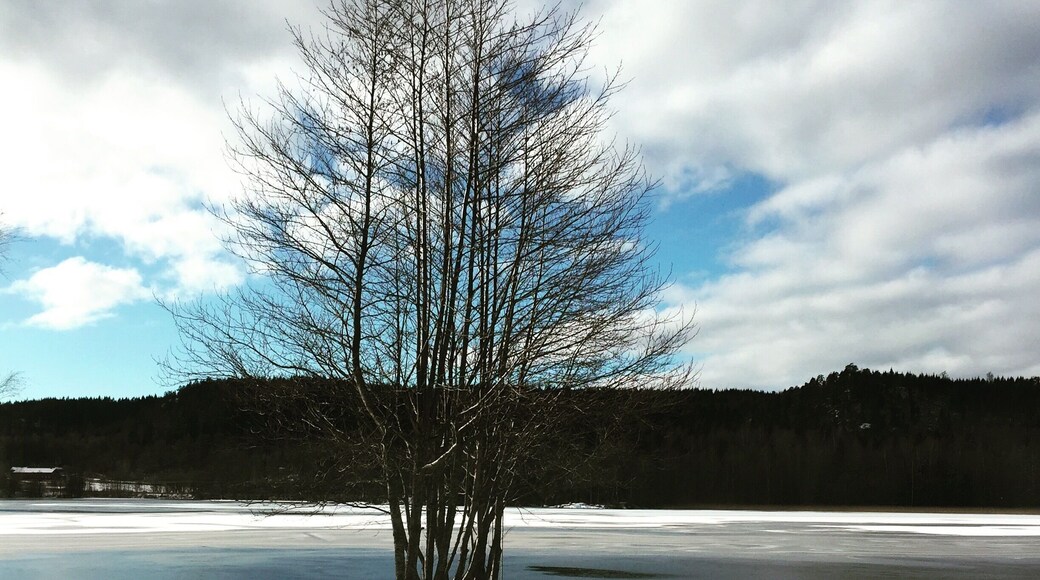 Svenshรถgen is a small town in the community of Stenungsund located at the westcoast of Sweden. Photo is taken by the lake Hรคllungen #WinterWonders