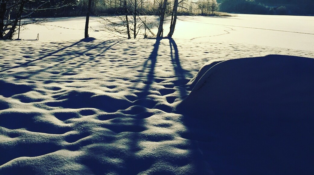 Another lovely winter morning in Svenshรถgen. #WinterWonders photo sweepstakes #WinterWonders