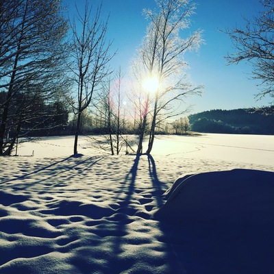 Another lovely winter morning in Svenshögen. #WinterWonders photo sweepstakes #WinterWonders