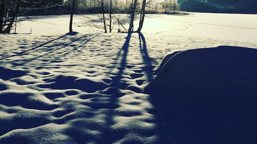 Another lovely winter morning in Svenshögen. #WinterWonders photo sweepstakes #WinterWonders