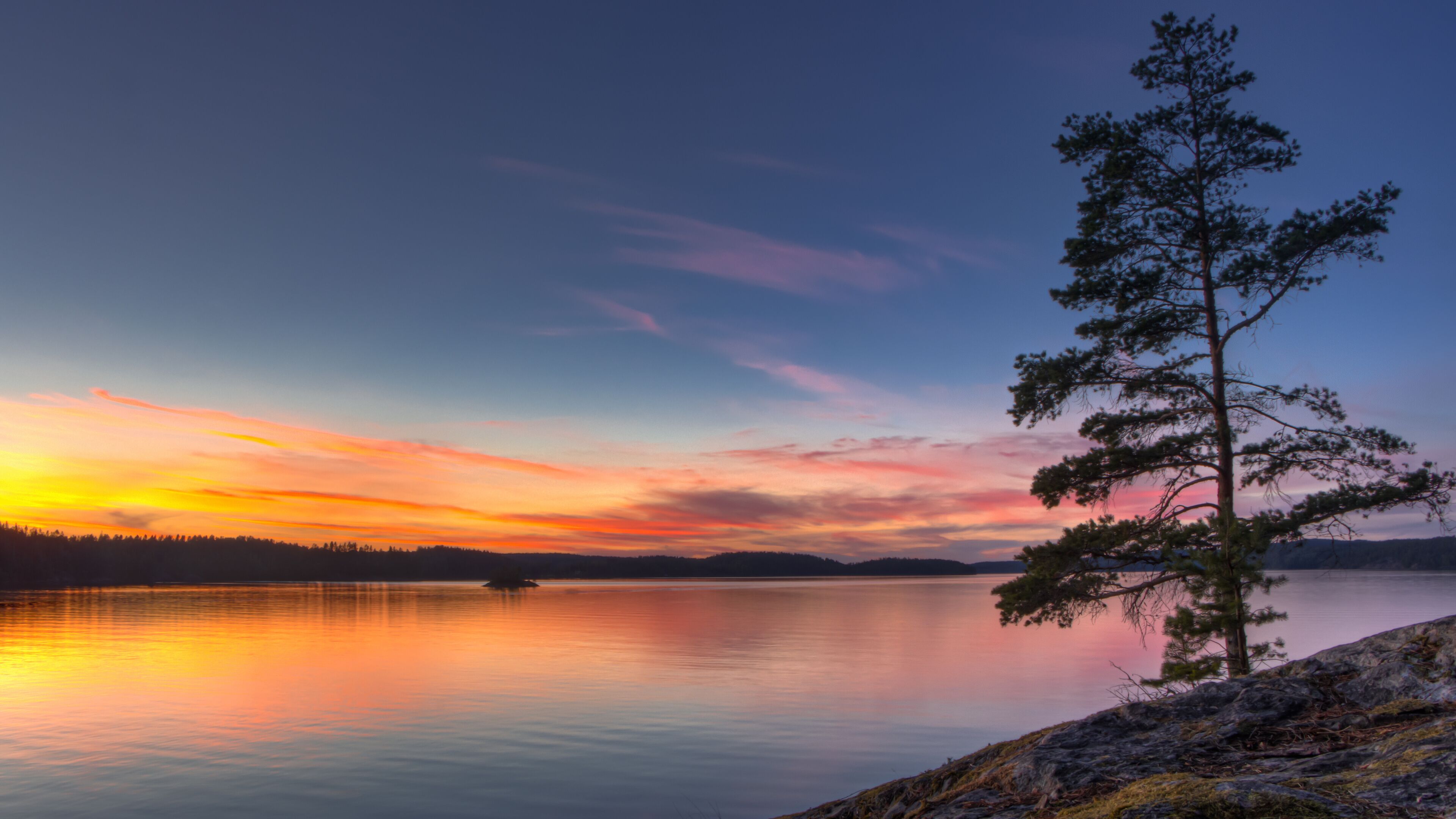 A calm lake at sunset with a prominent pine tree on the right.