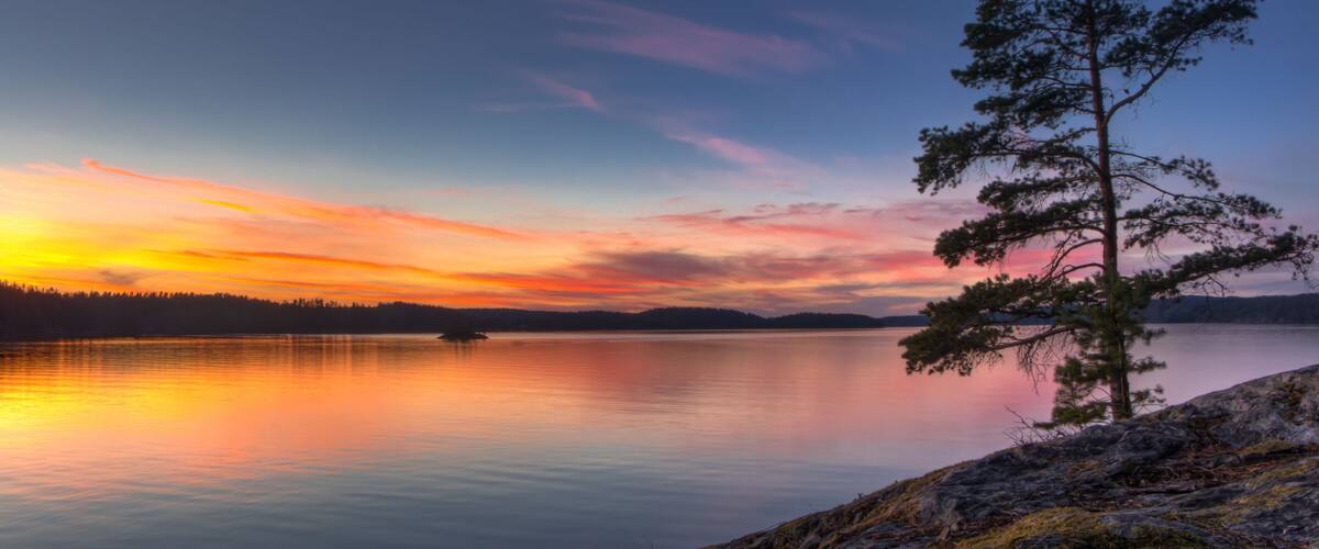 A calm lake at sunset with a prominent pine tree on the right.