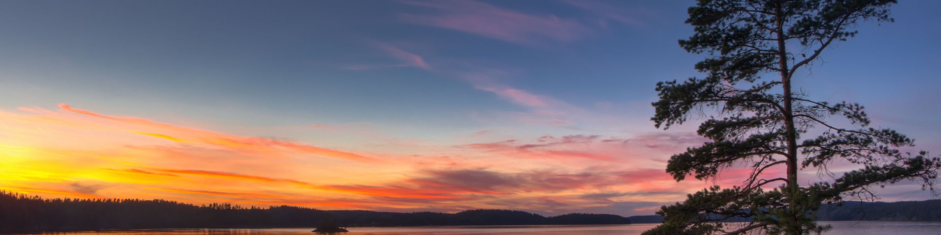 A calm lake at sunset with a prominent pine tree on the right.