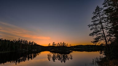A calm lake reflecting trees and a sunset sky.