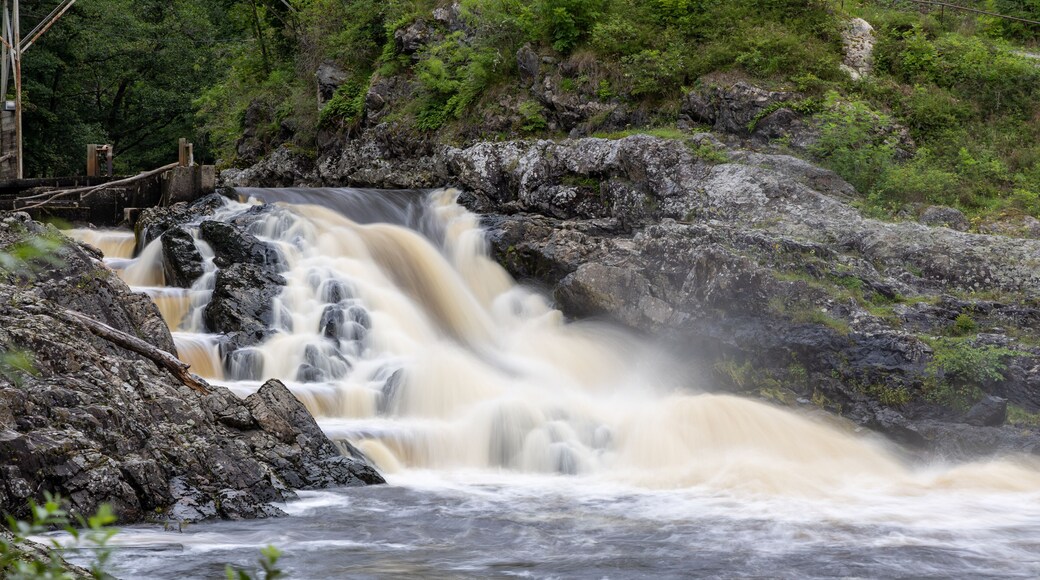 Stream of cascading water in long exposure