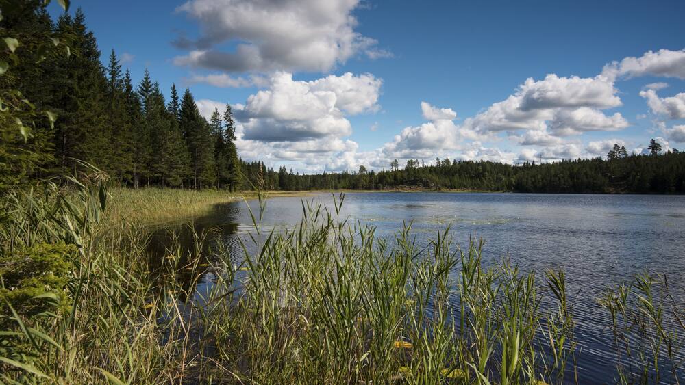 Lake Älgetjärnet, Kynnefjäll, Munkedal, Västra Götaland County, Bohuslän, Sweden, Europe