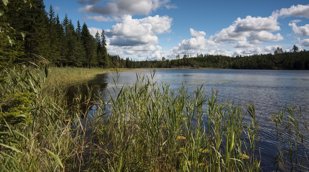 Lake Älgetjärnet, Kynnefjäll, Munkedal, Västra Götaland County, Bohuslän, Sweden, Europe