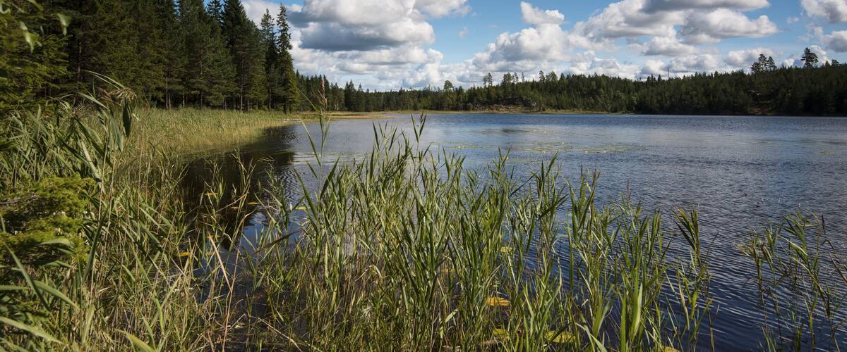 Lake ĂlgetjĂ€rnet, KynnefjĂ€ll, Munkedal, VĂ€stra Götaland County, BohuslĂ€n, Sweden, Europe
