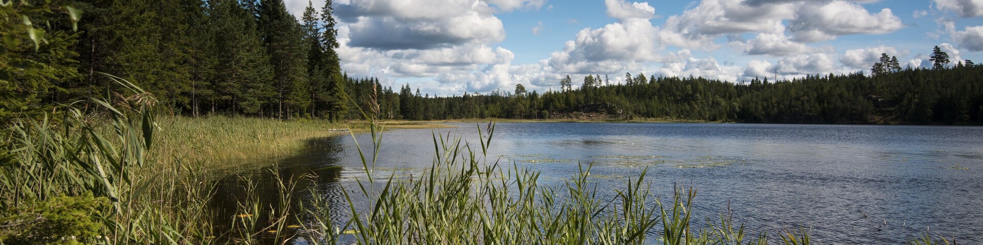 Lake Älgetjärnet, Kynnefjäll, Munkedal, Västra Götaland County, Bohuslän, Sweden, Europe
