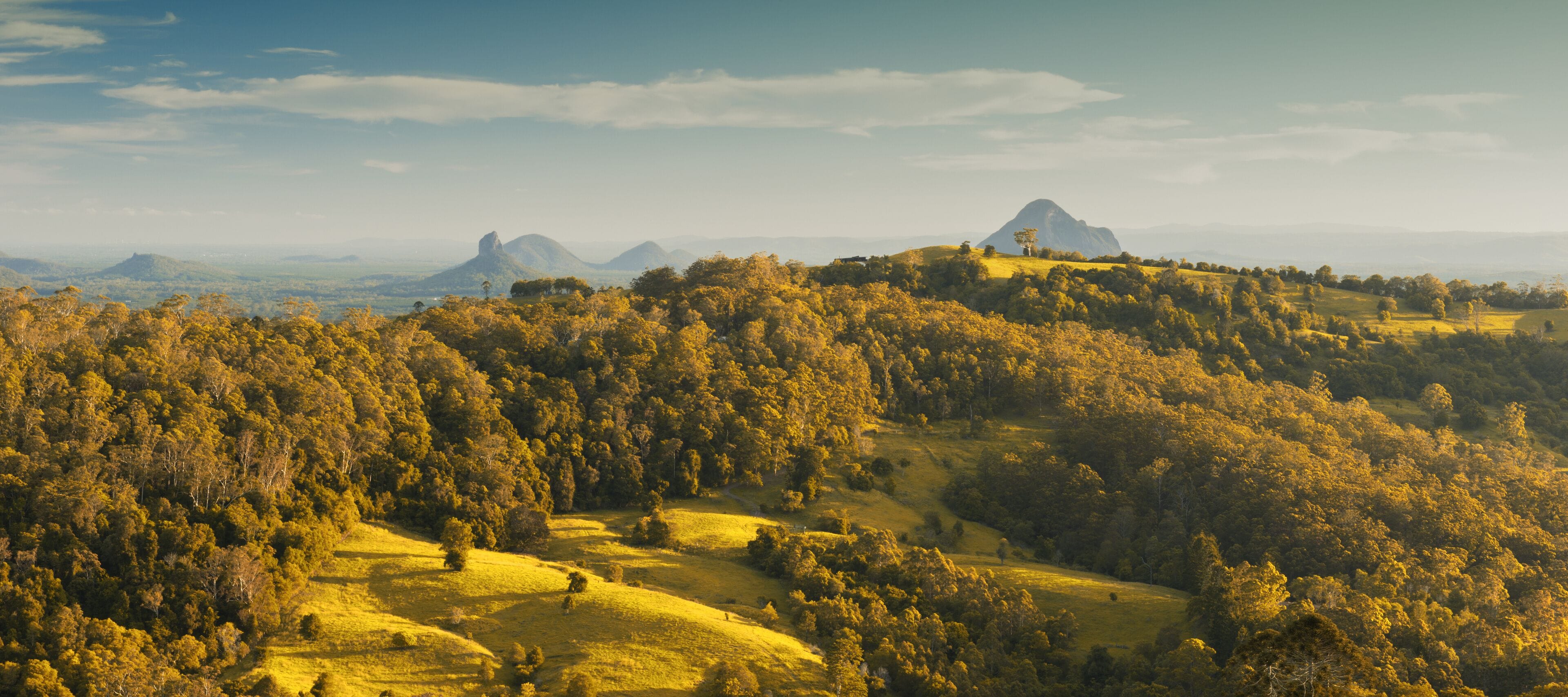Mount Beerwah in the afternoon sun.