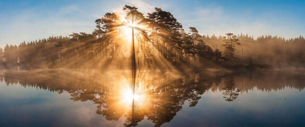 A calm lake reflecting a forest with sunlight filtering through trees.