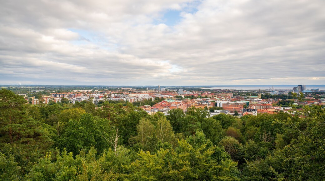 Cityscape over Halmstad on the Swedish West Coast on a cloudy autumn day in September.