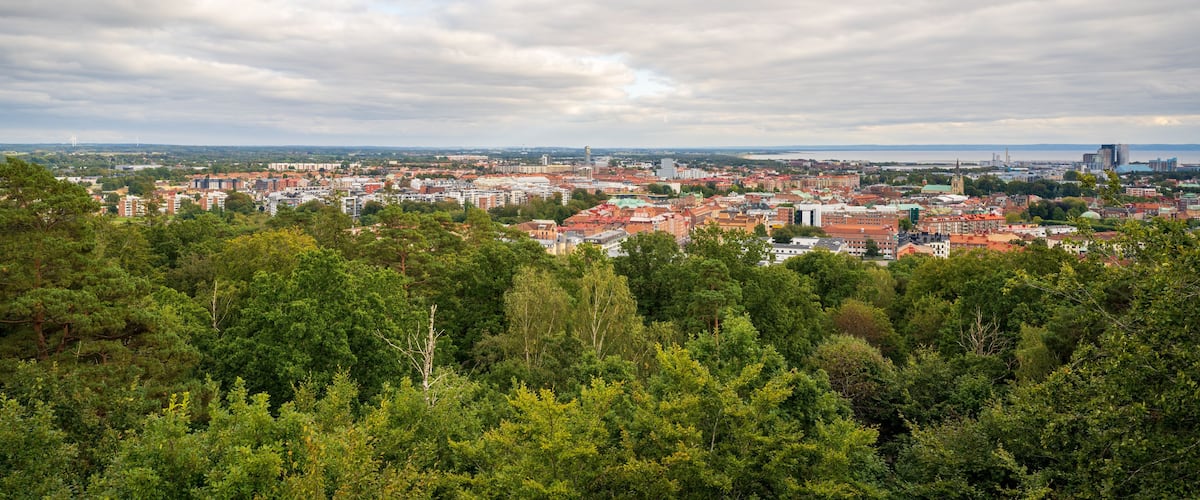 A cityscape with a mix of red-roofed buildings and green trees in the foreground.