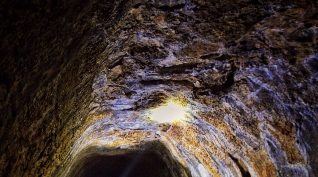 The Undara lava tubes are deep in the heart of Queensland and are amazing to explore, if you head down for a tour at night you can see hundreds of bats, especially in the wet season
