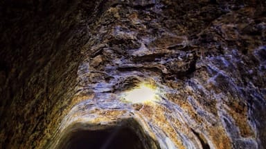 The Undara lava tubes are deep in the heart of Queensland and are amazing to explore, if you head down for a tour at night you can see hundreds of bats, especially in the wet season