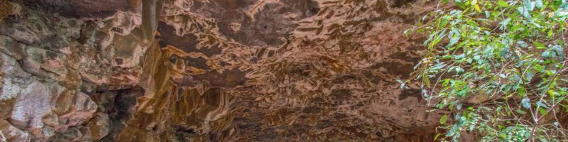 Inside the entrance to a lava tube that's hundreds of thousands of years old at Undara Experience in outback North Queensland. Best of its kind in Australia.