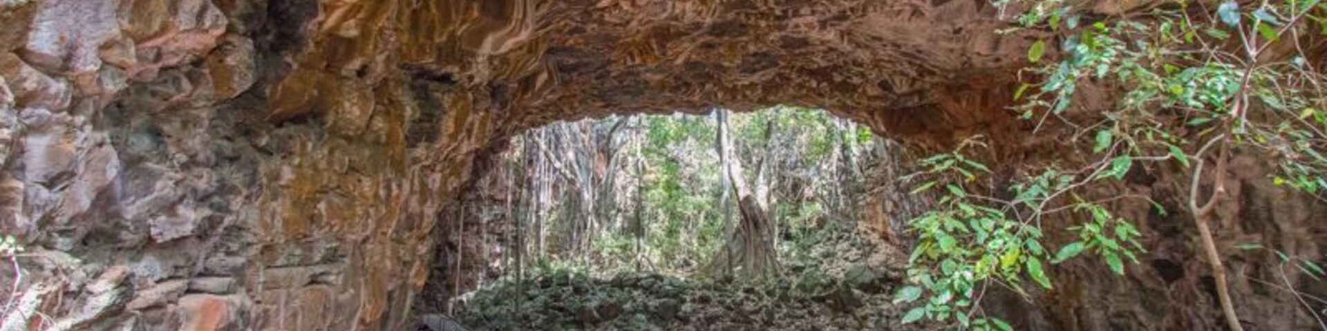 Inside the entrance to a lava tube that's hundreds of thousands of years old at Undara Experience in outback North Queensland. Best of its kind in Australia.