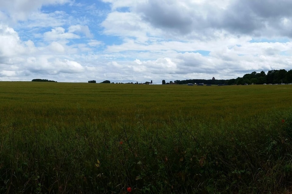 Um vasto campo verde com uma cerca, céu nublado e árvores ao longe.