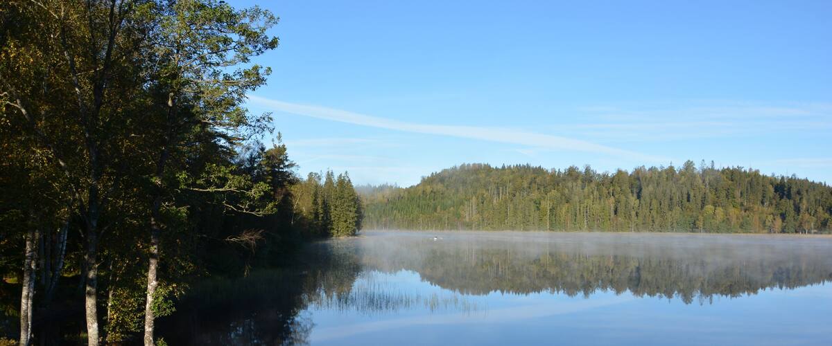 A calm lake surrounded by dense forest and a clear sky.