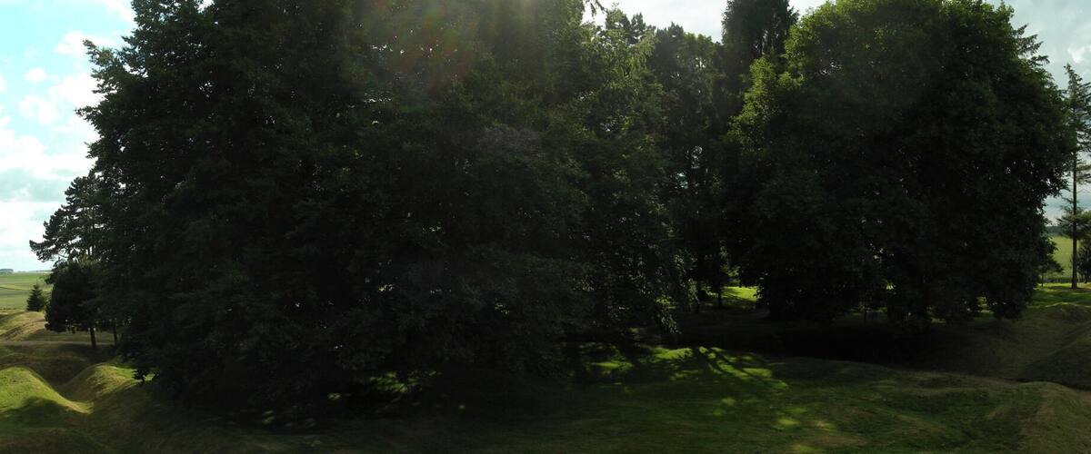 A grassy field with rolling hills and a dense cluster of trees.