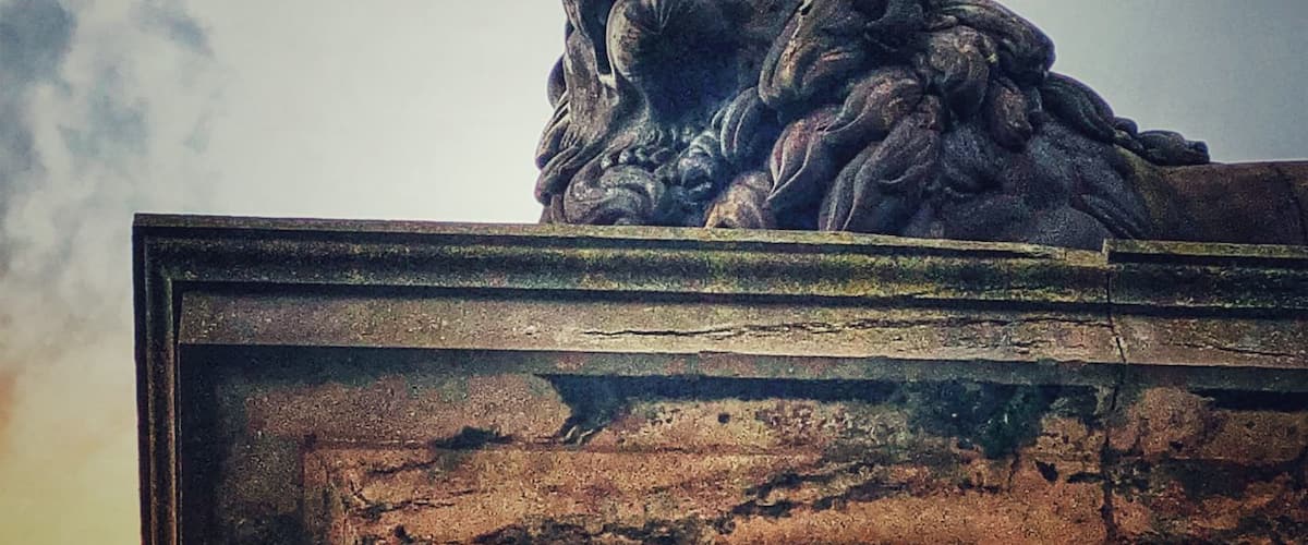 The Lion's Mound monument overlooks the battlefield of Waterloo, the infamous location of Napoleon's defeat and surrender. Make sure to climb to the top for a 360 degree view point of the now serene fields.
There is a cafe onsite that also serves Waterloo beer, which is very good. The museum is excellent. I learned many things about Napoleon and his reign that I was not aware of prior to my visit.