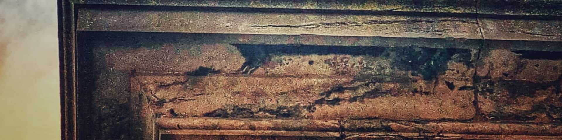 The Lion's Mound monument overlooks the battlefield of Waterloo, the infamous location of Napoleon's defeat and surrender. Make sure to climb to the top for a 360 degree view point of the now serene fields.
There is a cafe onsite that also serves Waterloo beer, which is very good. The museum is excellent. I learned many things about Napoleon and his reign that I was not aware of prior to my visit.