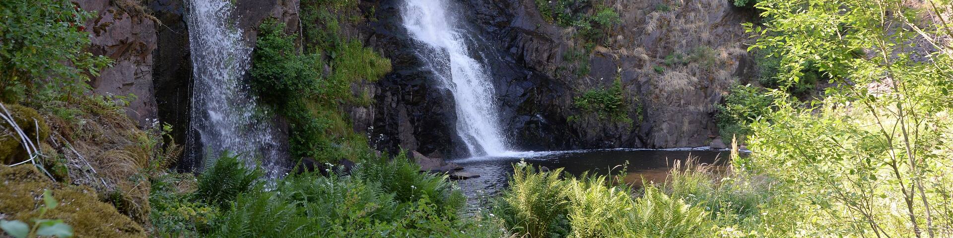 A waterfall cascading down a rocky cliff surrounded by lush greenery.