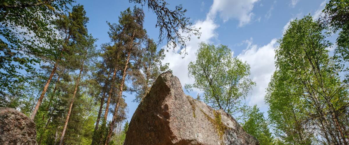 A large balanced rock formation in a forest with tall trees and a clear sky.