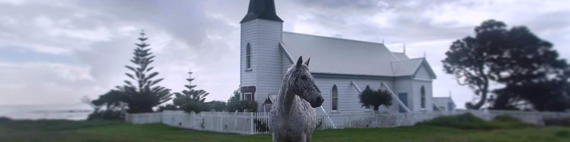 Met this friendly horse outside the old church.