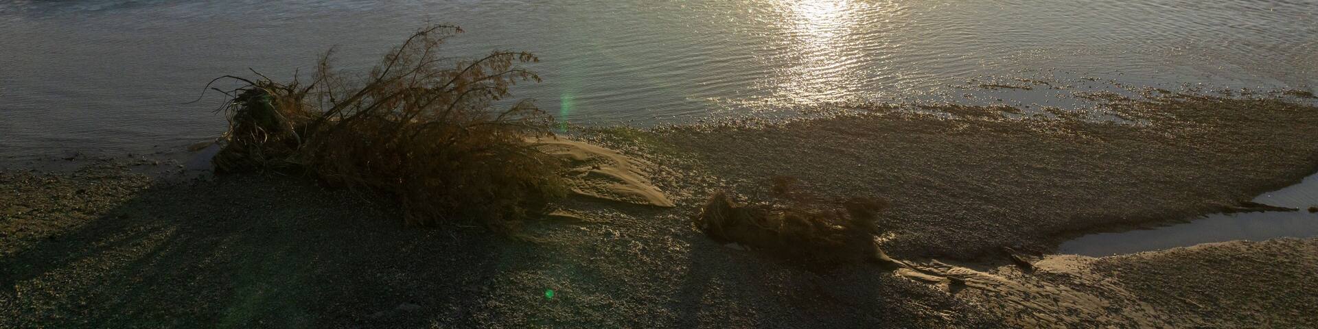 Aerial: Dead tree and Estuary of the of the Raukokore river at sunset. Waihau Bay, Ōpōtiki, Bay of Plenty, New Zealand.