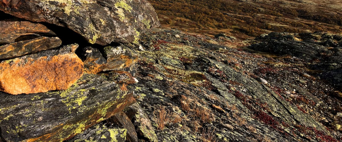 A rocky landscape with large boulders covered in lichen and moss, a clear sky with scattered clouds, and a distant view of a hilly terrain.