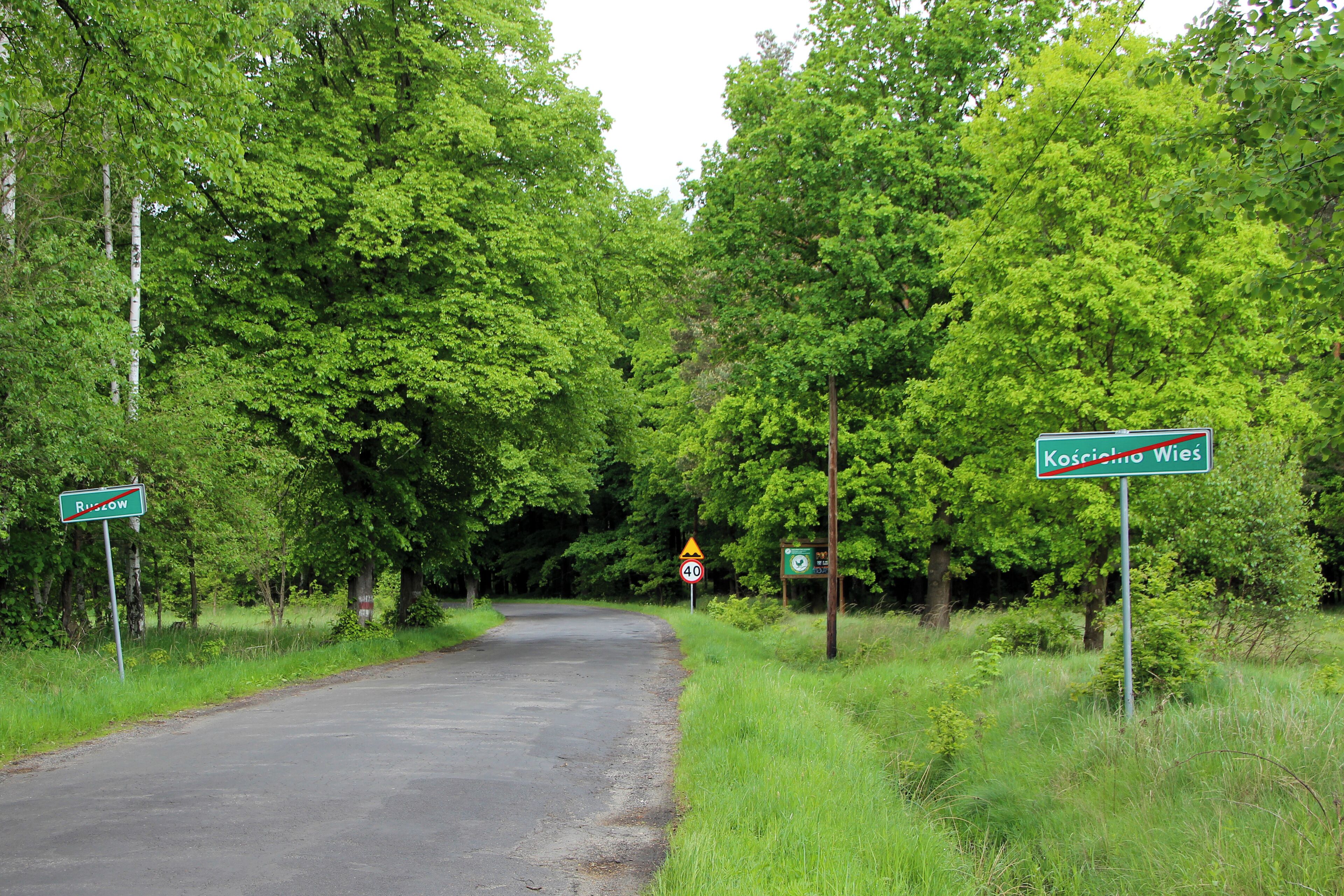 DW 350 w Kościelnej Wsi - wieś w Polsce w województwie dolnośląskim w powiecie zgorzeleckim, w gminie Węgliniec.
