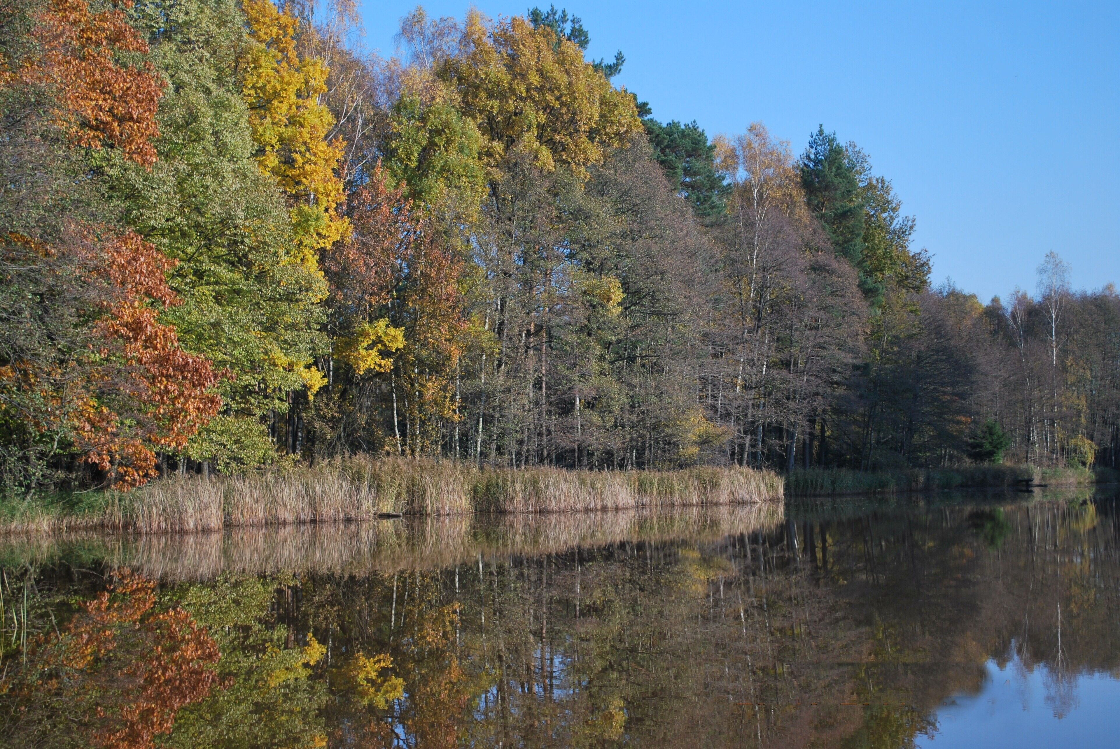 Staw zwany Koreą -słusznie.