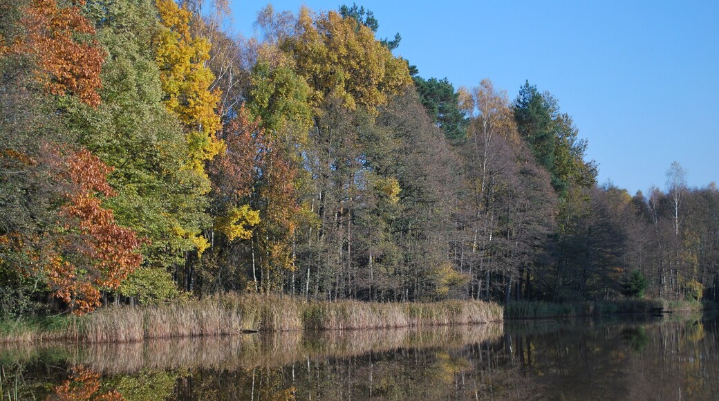 Staw zwany Koreą -słusznie.