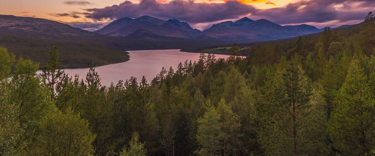 A mountainous landscape with a lake and dense forest.