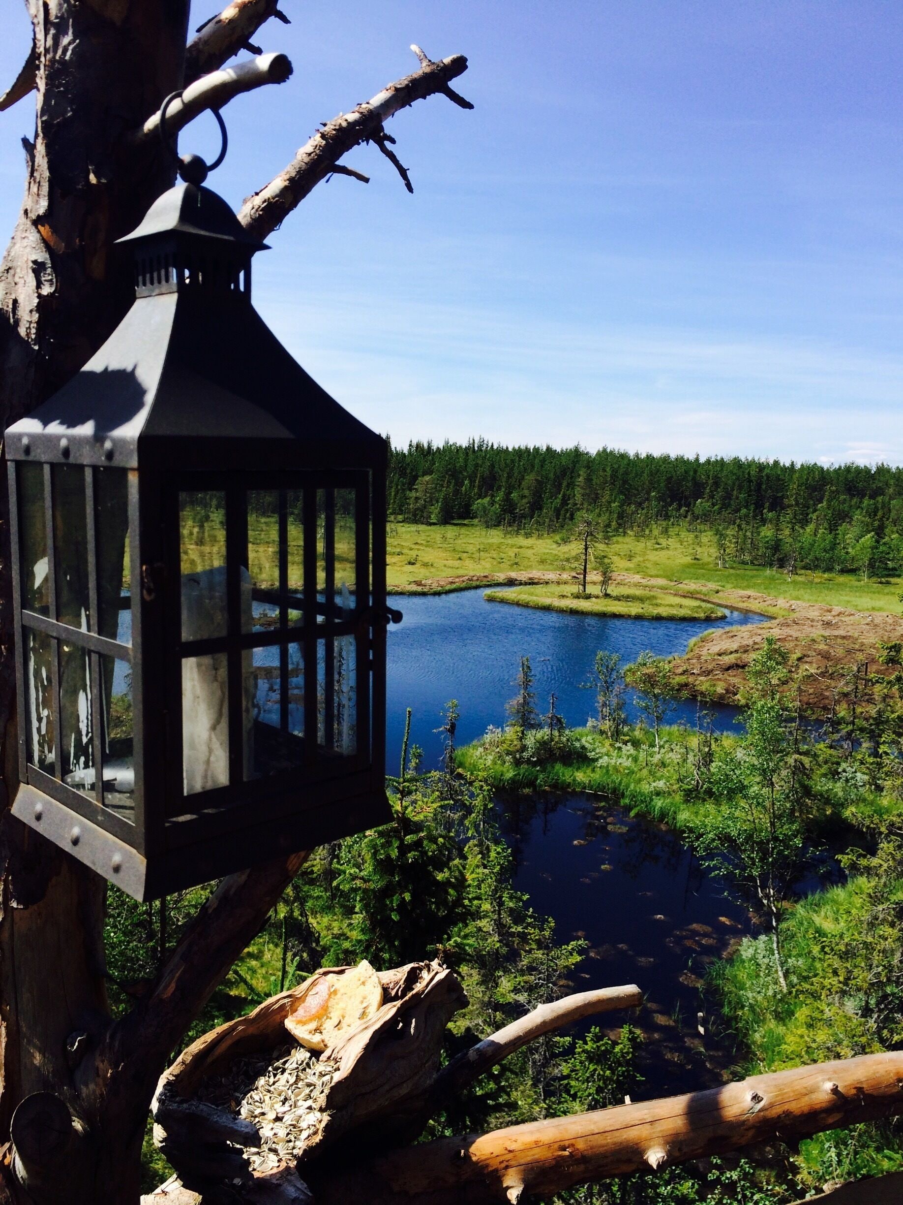 View from the treetophut

