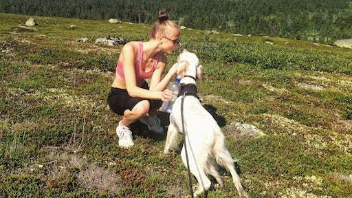 Norway is so beautiful at the moment. Crazy 20degrees celsius on top of the mountain todayy, and all sunny and perfect ahh #hiking