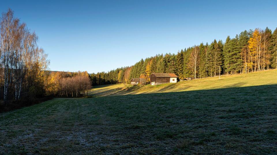 A rural landscape with a house on a hill, surrounded by trees and open fields.